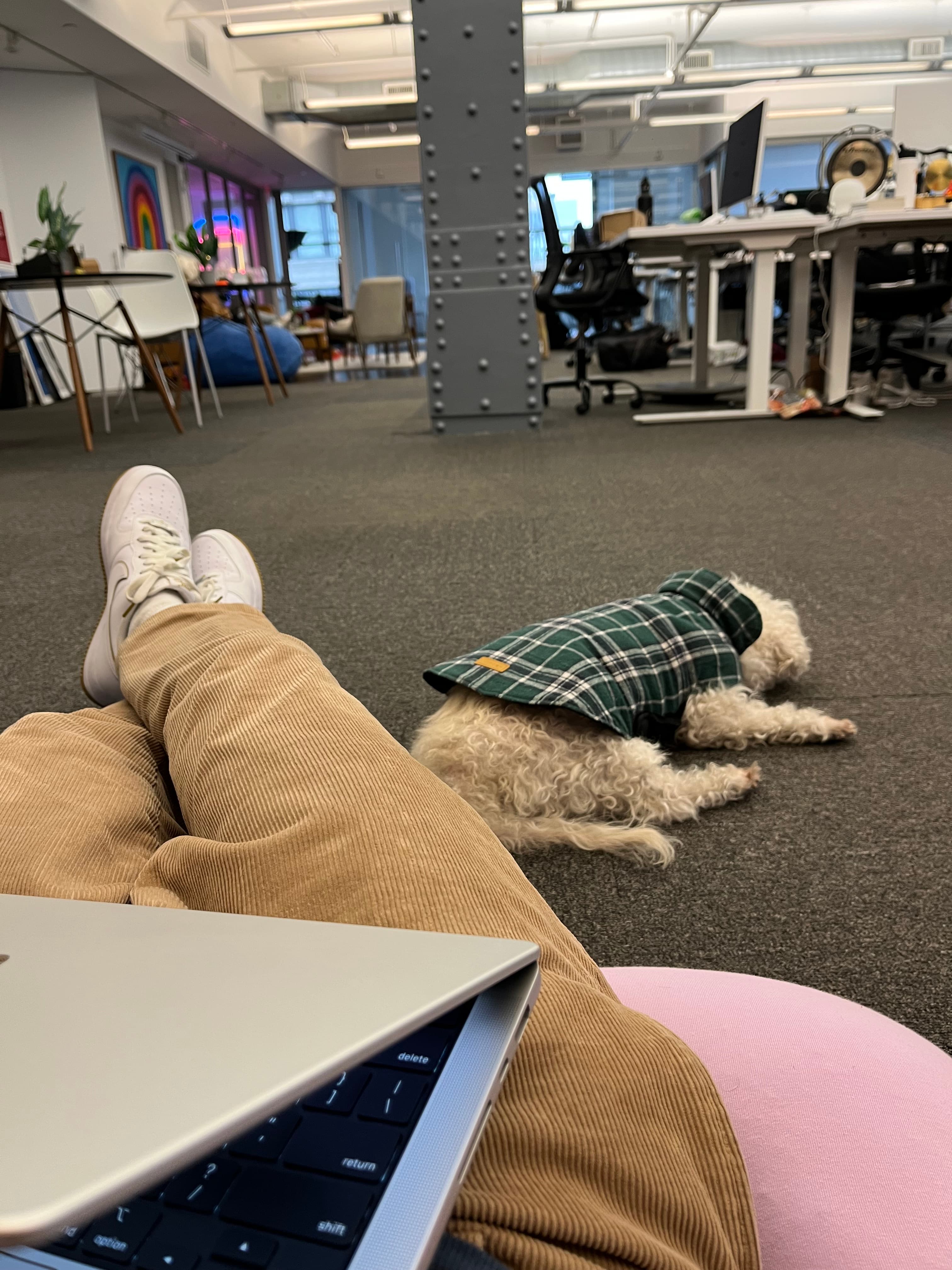 At Clay office in New York